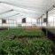 Transparent 40x25 50x25 greenhouse insect net anti insect net