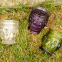 Customized Clear Purple Green Colored Dof Glass Tumber Cup