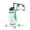 10d Laser Body Shape Machine Slim Cold Laser Therapy Device 10d Maxlipo Master 532nm Laser Machine