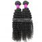 Unprocessed 5A 6A 7A Grade virgin Afro Kinky Asian human hair bulk human hair wholesale