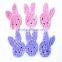shabby bunny