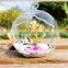 Clear Glass Vase For Home&Wedding Decoration, Garden Ornament