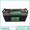 Industry leading Promotion price EverExceed High Rate range 12v 100ah UPS lead acid battery