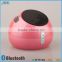 Mini Bluetooth Music Speaker with Memory Card and LED Charging Indication