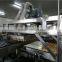 Guqiao Brand Custard Cake Making Machinery