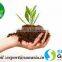 NEEM CAKE POWDER, GRANULE AND PELLETS