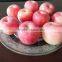 Fresh Red Fuji Apple Red Fuji Gold delicious green apples