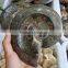 Natural Jadify Ammonite Fossils Ashtray/ Ink-stone Crafts Polished Conch Fossils