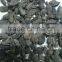 2015 new crop black cardamom with high quality for sale