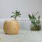 Hotsale China Fashion Pottery Flower Pot