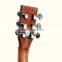 L-T20S-36 Solid Spruce Acoustic Guitar Satin Saddle