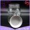 One pint fresh glass jar with metal screw top lid