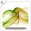 Modern Art custom Canvas printing Painting
