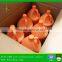 bulk hotel product good price natural shampoo deep cleaning hair5000ml