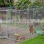 hot-dipped galvanized Chain Link Panel for enclosure dog kennel