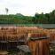 Cheapest Eucalyptus/Acacia Core Veneer (ha@kego.com.vn)