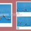 Hot and Cheap Cast nets Fishing Nets and Bottom Pocket Nets