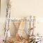 Natural drying decorate brich slice
