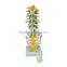 Life-size 5 Pcs Anatomical Lumbar Vertebra Model