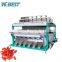 Big Capacity Wolfberry / Medlar Color Sorter Food Processing Machine