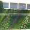 Artificial green wall for gymnasium
