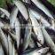 Seafood frozen round scad fish(decapterus macarellus)