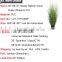 Artificial Potted Grass Synthetic Onion Grass In Pot Fake Grass in Pot for Indoor Decoration