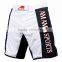 mma shorts rash guards tshirts hooded gies and all related accessories