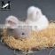 2016 Popular Lovely Rabbit Accessory or Gift Charm Mink Rabbit Keychain