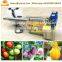 agriculture electric backpack sprayer machine gasoline fogging machine mosquito for greenhouse