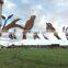 Rustic handmade corten steel metal animal craft
