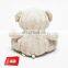 2020 Expo Super Hot Sensory Soft Little Bear Animal Weighted Stuffed Plush Toys Little Animal Toys