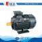 Y2 Series Cast Iron Electromotor (Y2-132S1-2-5.5KW)