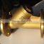 Ansi Flanged Foot Valve Water Y Strainer