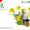 pure evening primrose seed oil producer