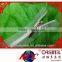 3# KCC invisible zipper with transparent tape