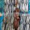 Good Quality Frozen Pacific Saury whole round
