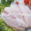 Oreochromis Niloticus Fish Fillet IQF Tilapia Frozen Tilapia Fillet