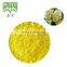 Super Food 95%,98% sophora japonica flower bud extract powder