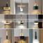 Contemporary Design Personality Pendant Lamp Nordic LED Chandelier Bedroom Pendant LED Lights