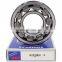 Hydraulic Pump Bearing Cylindrical Roller Bearing F-202972 F-202972.03 F-202972.03.RNU