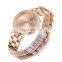 Relogio Femenino Mini Focus MF0039L Waterproof Fashion Women Jewelry Watches Luxury Ladies Rose Gold Watch