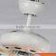 Extraordinary Light Kid Room LED Ceiling Fan