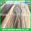 linyi factory 0.30mm 0.28mm Grade A/B water gum face veneer alternative to Keruing wood veneer