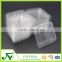 New style clear plastic blister fruit container