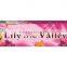 Perfumed Incense Stick