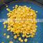 canned 340g sweet corn manufacture wholesale price