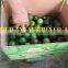 SPECIAL PRICE FOR LIME/GREEN LEMON FROM VIETNAM