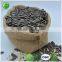 NON GMO Sunflower Seeds/Sunflower Seeds Kernel/Salted Sunflower Seeds