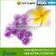 Factory manufacture various household air freshener in strawberry shape